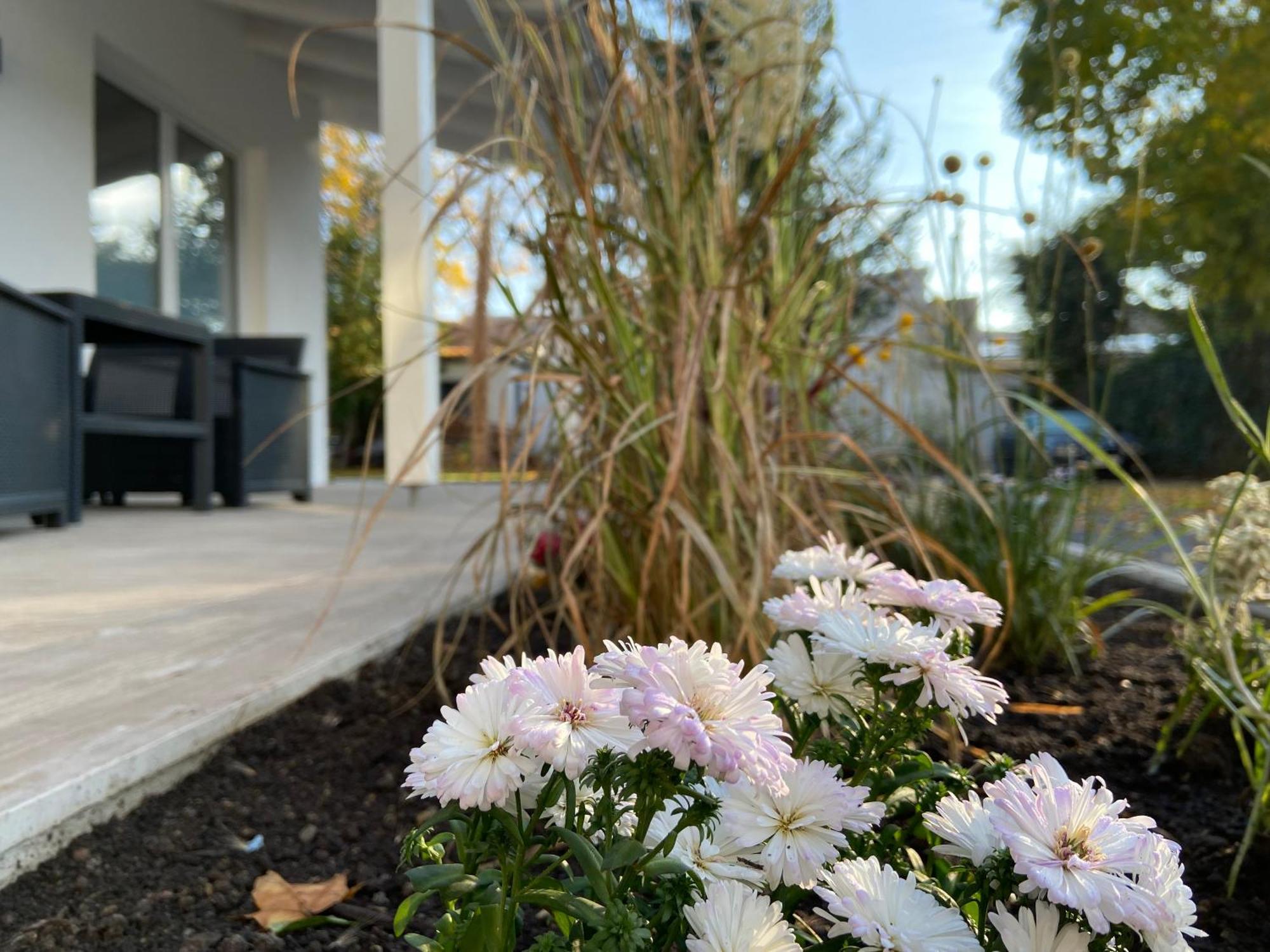 Auszeit Erfurt - Stilvoller Bungalow Mit Parkplatz - Zentrumsnah מראה חיצוני תמונה